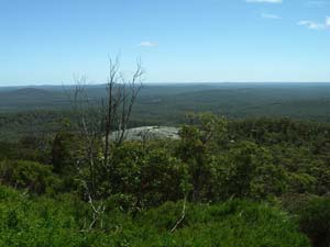 mount frankland